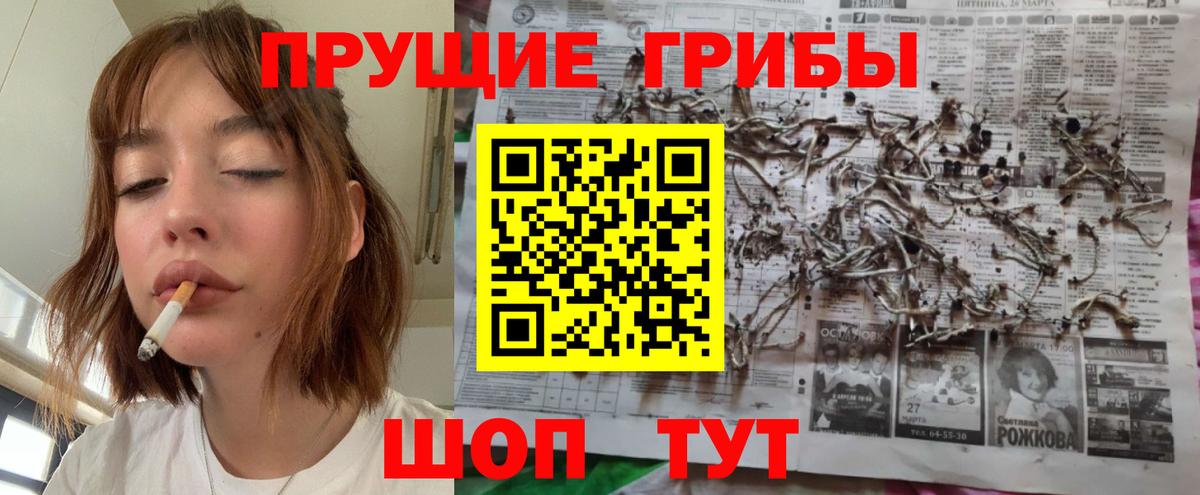 цена   Псилоцибиновые грибы мицелий  Вход с VPN  Пушкино 